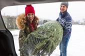 Couple Loading Freshly Cut Down Christmas Tree Into Back Of Their Car 786646558
