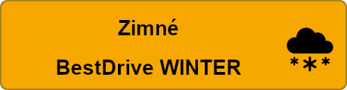 BestDrive Winter